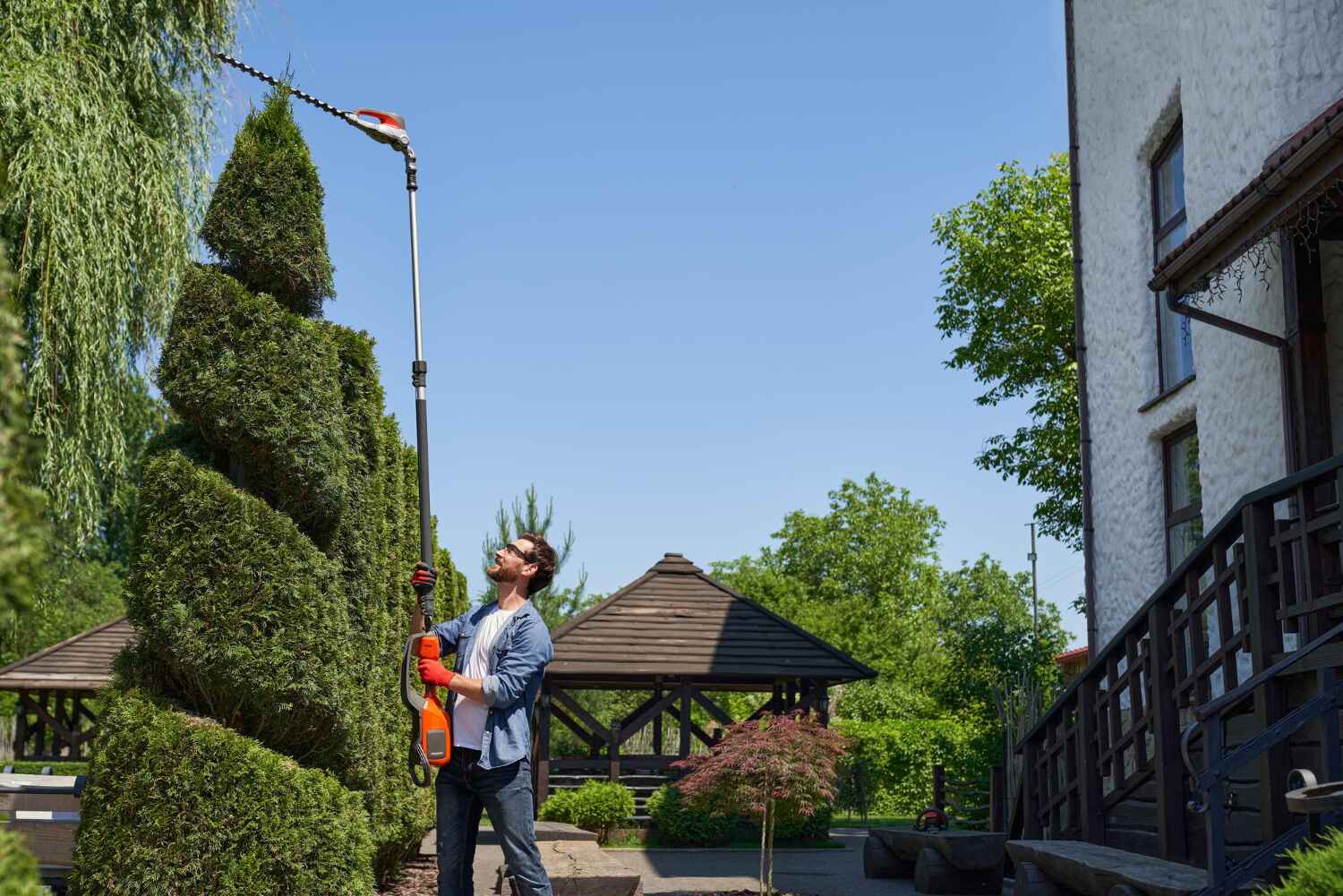 Tree Removal for Businesses in Lewiston, ME